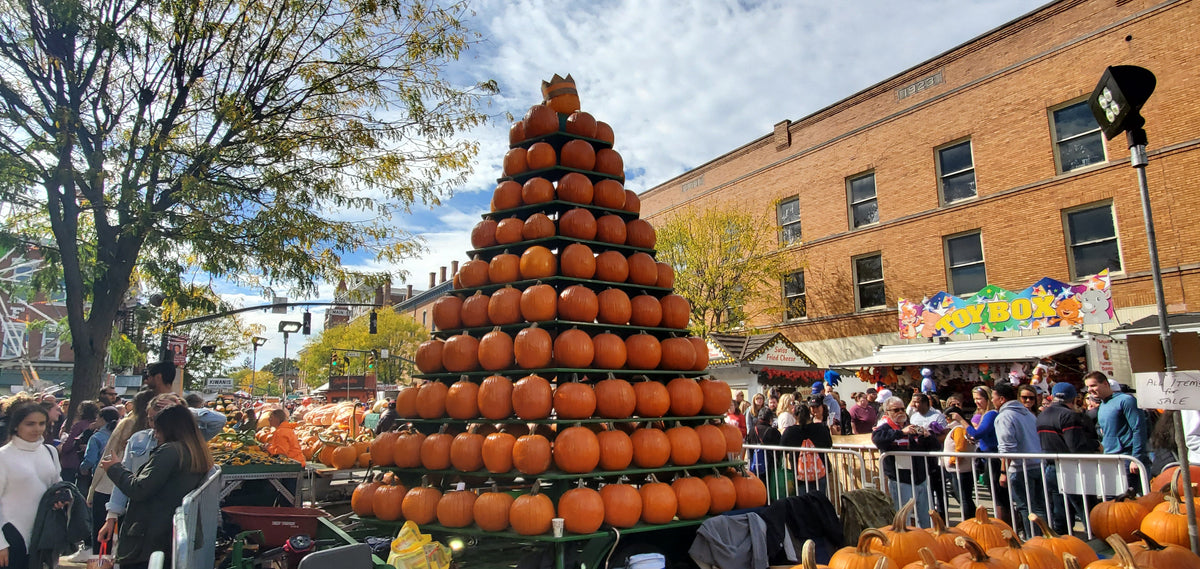 Pumpkin Show