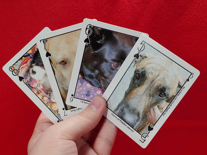 Pets On Parade Pumpkin Show Playing Cards - From 2007