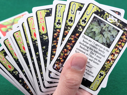 Ohio Buckeye Trivia Playing Cards: Collectible Limited Edition Deck