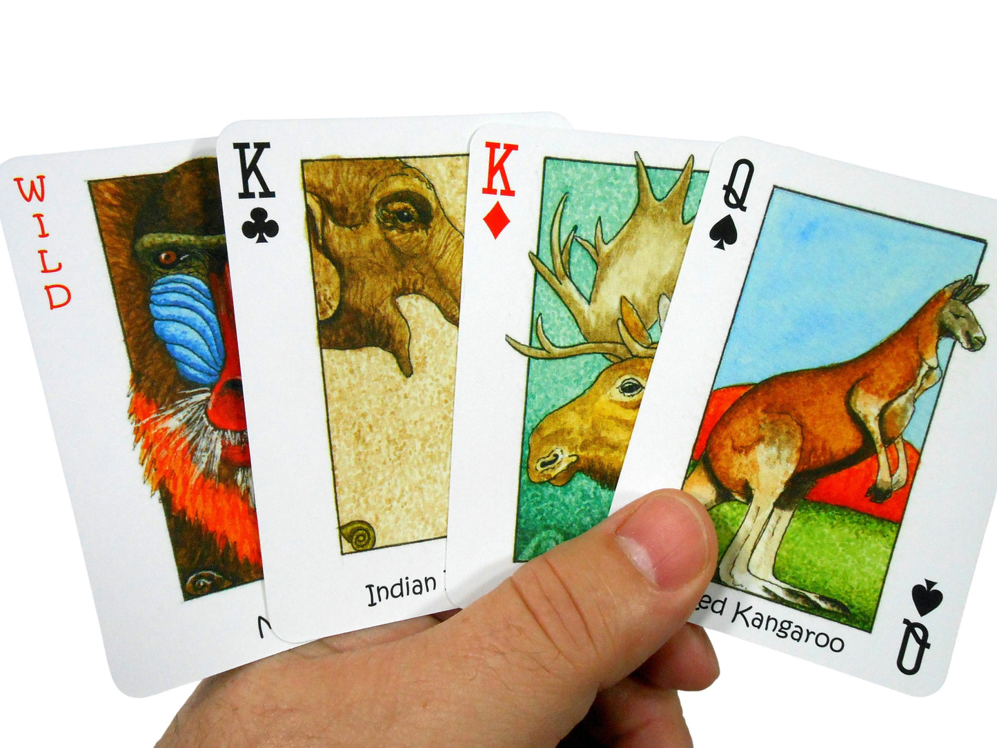 Wild! Deck of Playing Cards - Unique Seek-N-Find feature where you find hidden images in cards - Features artwork of animals by Peter Wood