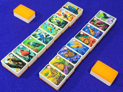 Birds and Butterflies Mahjong Tile Game: Seaside Escape, US Made