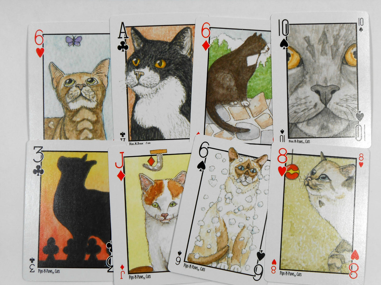 Cats Pips & Paws Playing Card Deck: Featuring Seek-N-Find Art Images