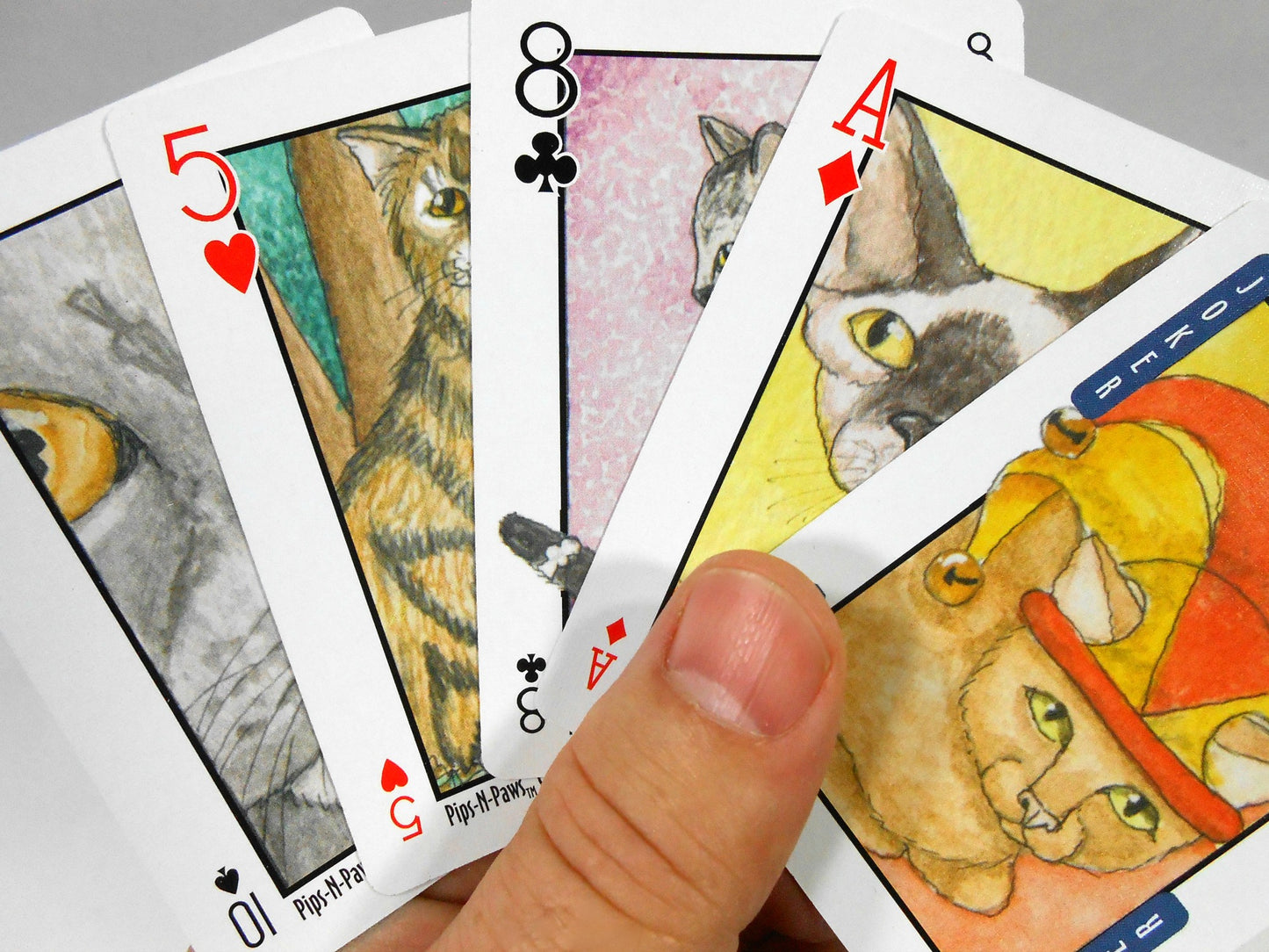 Cats Pips & Paws Playing Card Deck: Featuring Seek-N-Find Art Images