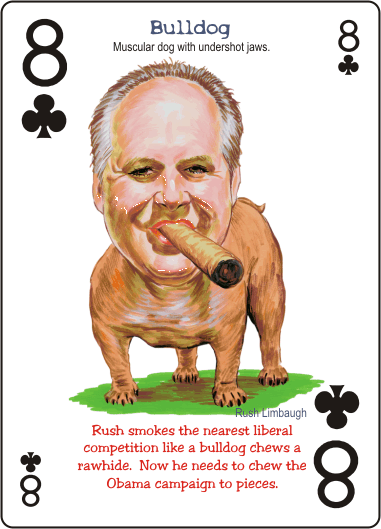 VOTE JOHN McCAIN or Anti-Obama - Politically WILD! Playing Cards - Republican Edition