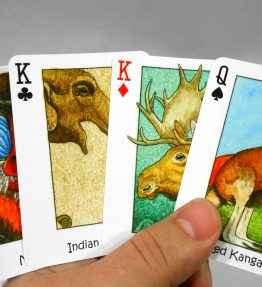 WILD! Playing Cards featuring WILD Animals with Seek-N-Find Hidden Images