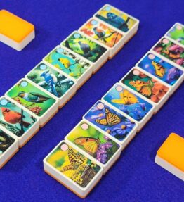 Birds and Butterflies on Flowers Mahjong Tile Match or Seaside Escape Game