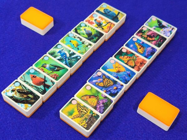 Birds and Butterflies on Flowers Mahjong Tile Match or Seaside Escape Game